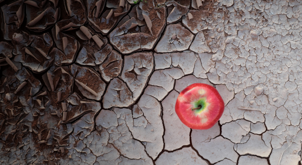 Climate Change threatens food security