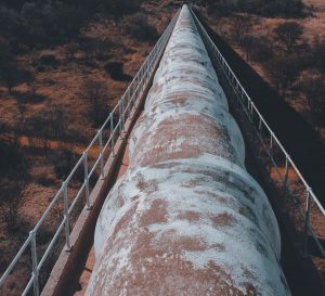 Oil