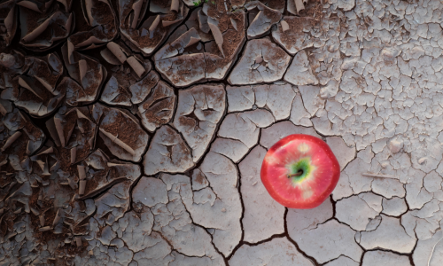 Climate Change threatens food security