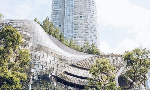 carbon removal certification framework for businesses